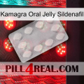Kamagra Oral Jelly Sildenafil 16